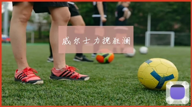 威尔士力挽狂澜
