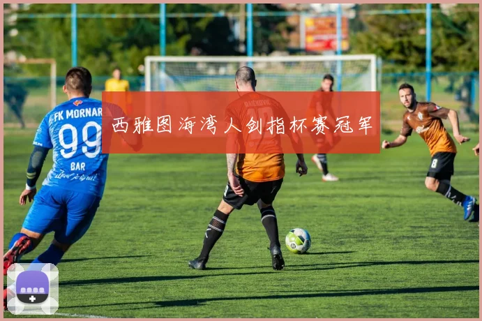 西雅图海湾人剑指杯赛冠军