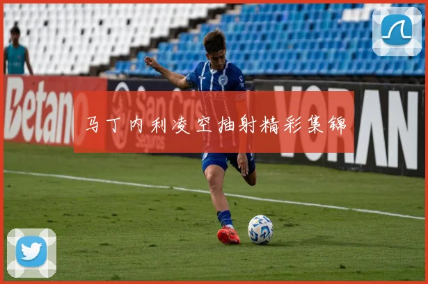马丁内利凌空抽射精彩集锦