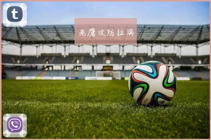 老鹰攻防拉满