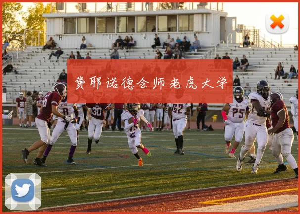 费耶诺德会师老虎大学