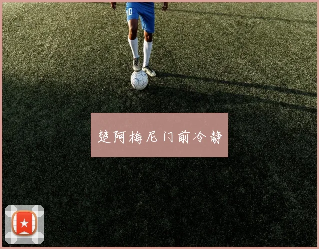 楚阿梅尼门前冷静