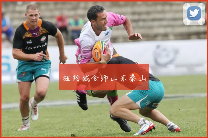 纽约城会师山东泰山