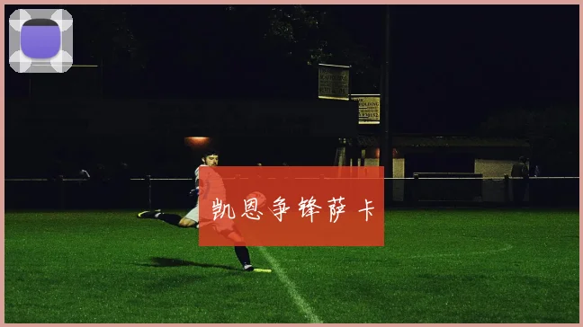 凯恩争锋萨卡