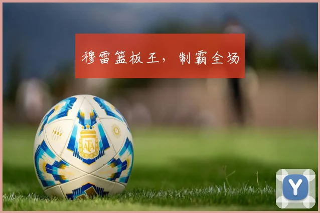 穆雷篮板王，制霸全场