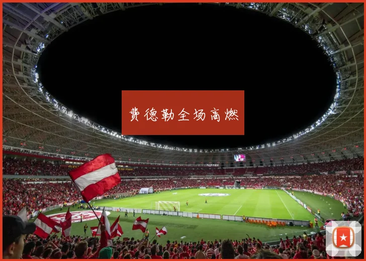 费德勒全场高燃