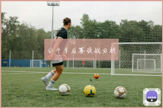 公牛季后赛夜战分析
