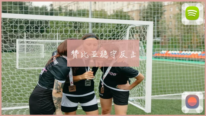赞比亚稳守反击