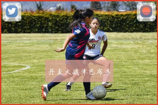 丹麦大战津巴布韦