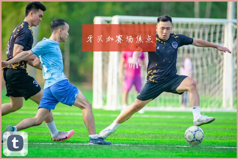 牙买加赛场焦点