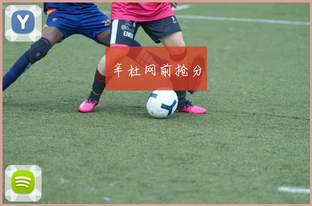 辛杜网前抢分