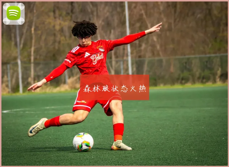 森林狼状态火热