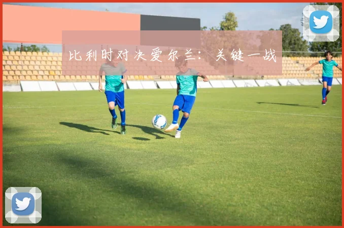 比利时对决爱尔兰：关键一战