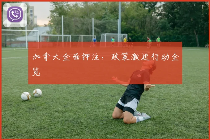 加拿大全面押注，政策激进行动全览