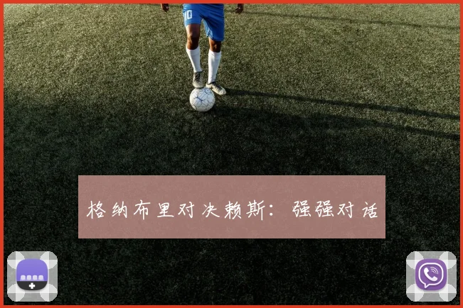 格纳布里对决赖斯：强强对话