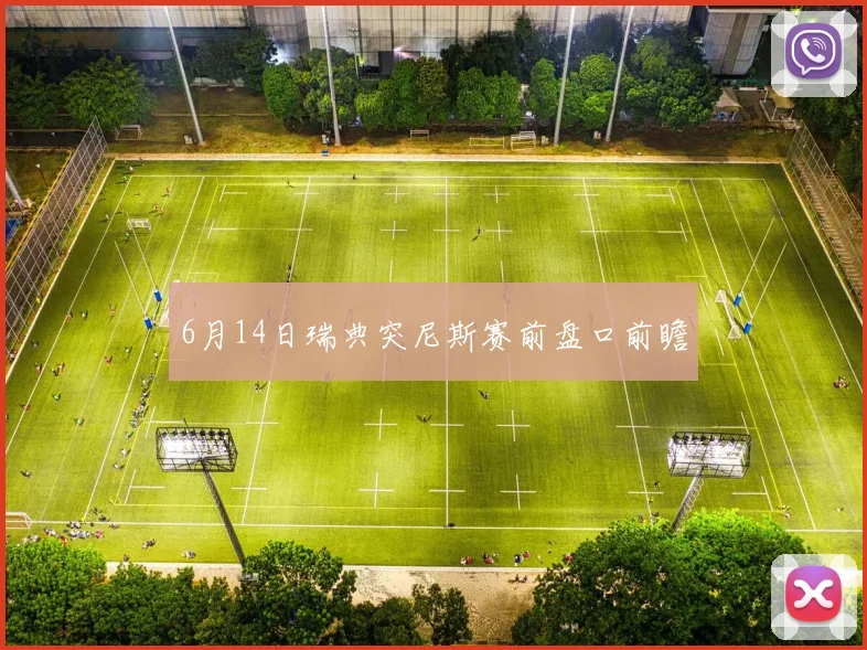 6月14日瑞典突尼斯赛前盘口前瞻