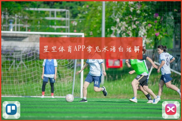 星空体育APP常见术语白话解