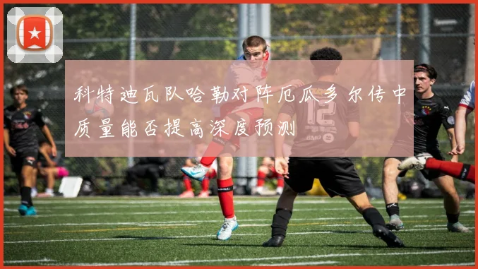 科特迪瓦队哈勒对阵厄瓜多尔传中质量能否提高深度预测