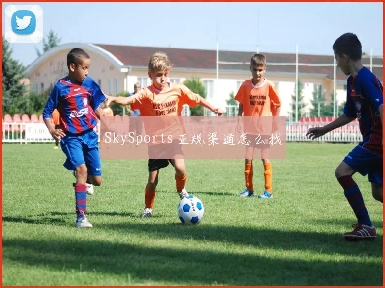 SkySports正规渠道怎么找