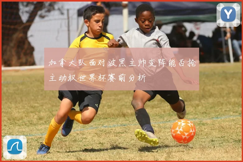 加拿大队面对波黑主帅变阵能否抢主动权世界杯赛前分析